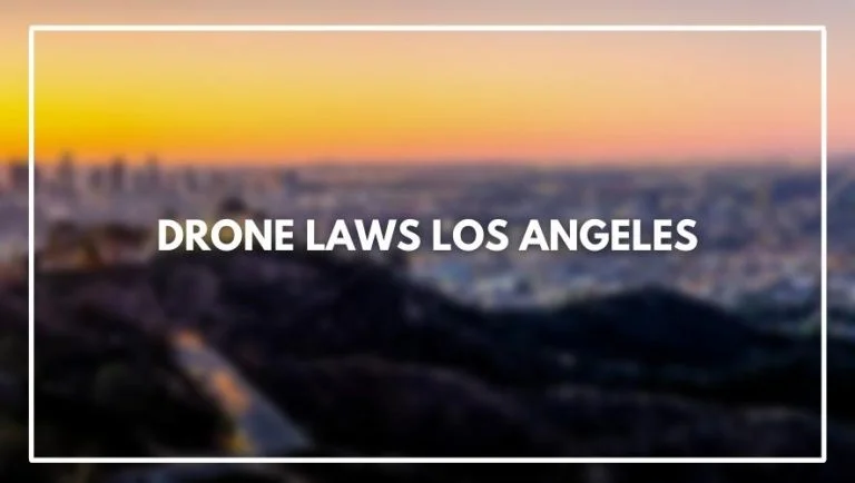 Drone Laws Los Angeles (How to Register and What are the Rules)