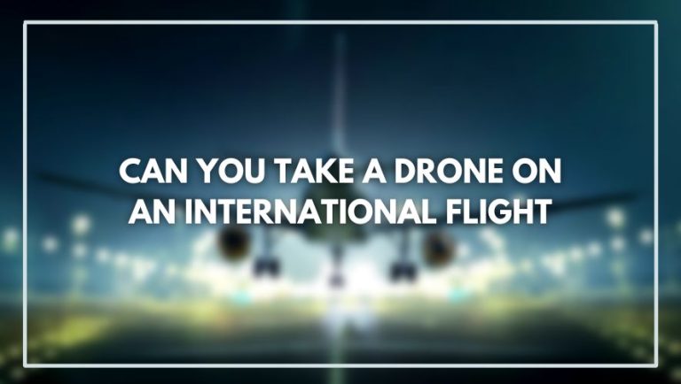 Can You Take a Drone On An International Flight